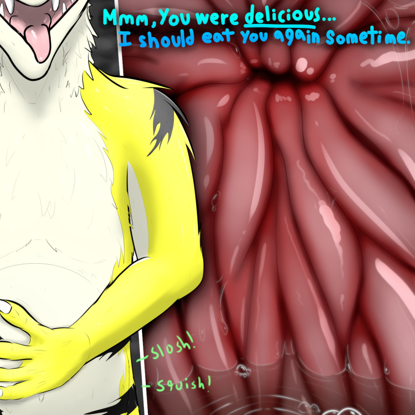 1:1 anthro bodily_fluids carbonicedragon dialogue endosoma english_text first_person_view fur hand_on_stomach hi_res internal internal_pov male organs sergal solo stomach talking_to_viewer text tongue tongue_out vore yellow_body yellow_fur