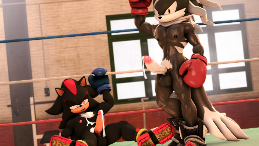 3d_(artwork) absurd_res balls bodily_fluids boxing boxing_gloves canid canine canis clothing competition cum cum_drip cum_on_body cum_on_chest digital_media_(artwork) dripping duo erection eulipotyphlan fighting_ring genital_fluids genitals gym handwear hedgehog hi_res infinite_(sonic) jackal loafsfm male male/male mammal muscular muscular_male nipples pecs penis sega sexfight sexual_competition shadow_the_hedgehog sonic_forces sonic_the_hedgehog_(series) sport