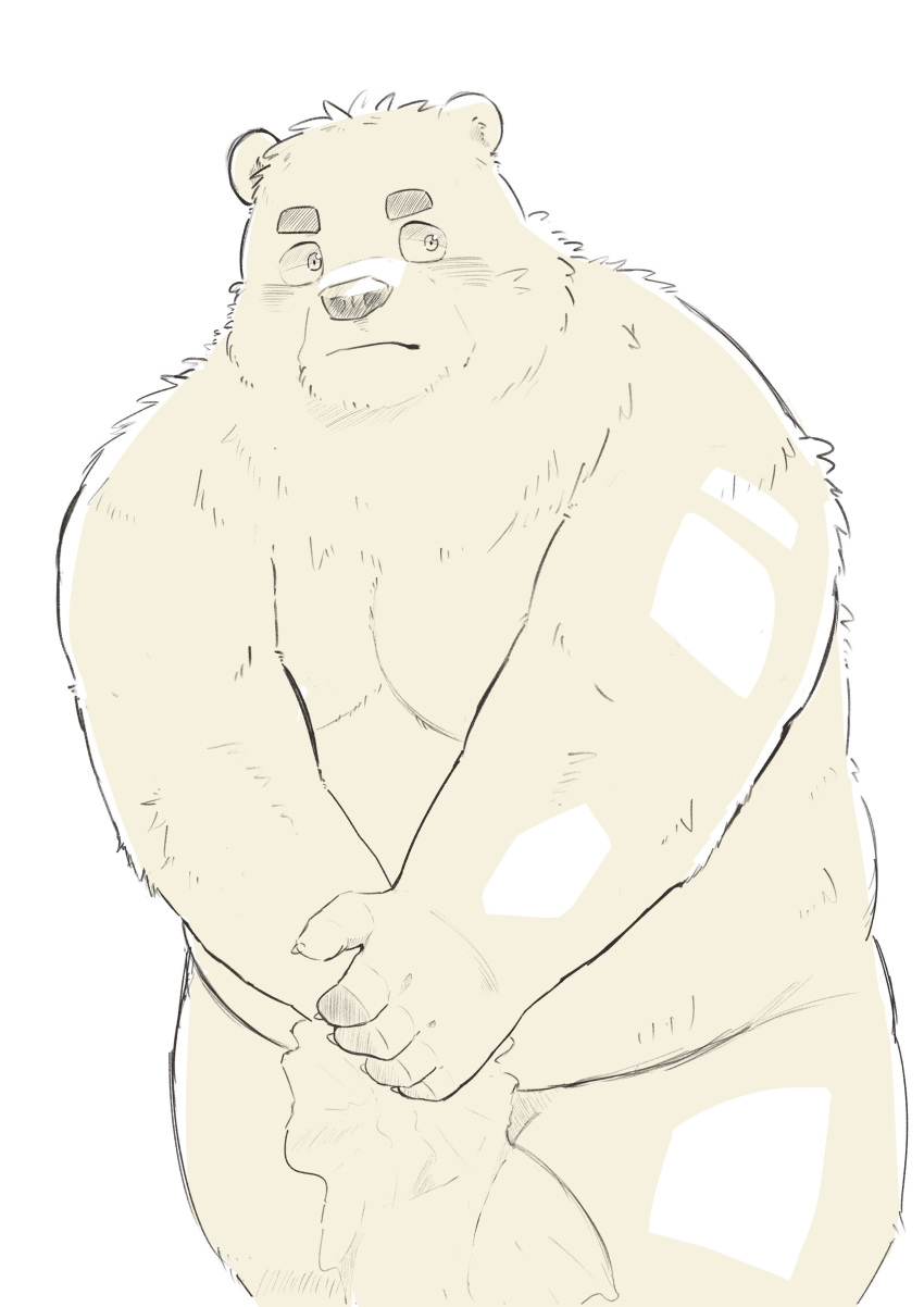 2022 absurd_res anthro belly blush en_1_9 hi_res humanoid_hands kemono male mammal moobs overweight overweight_male simple_background solo towel ursid white_background