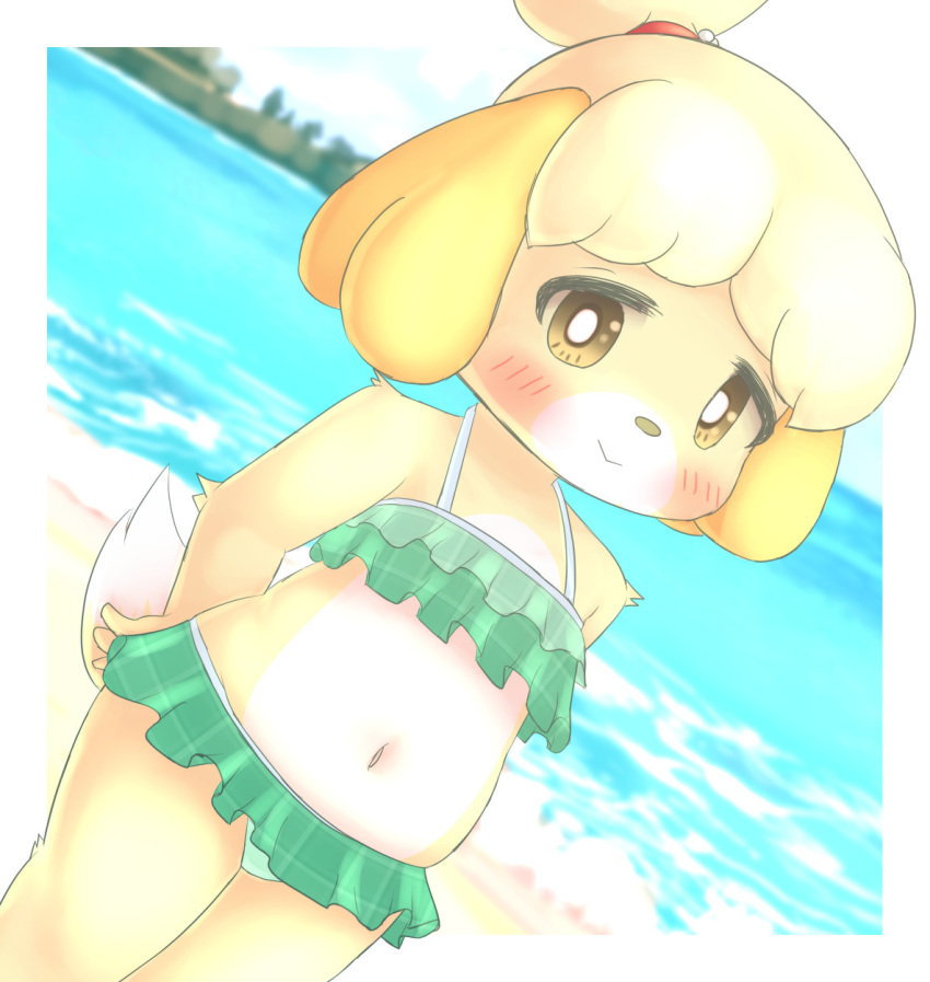 animal_crossing anthro beach bikini blush border bunnag canid canine canis clothing day domestic_dog female fur hands_behind_back hi_res isabelle_(animal_crossing) looking_at_viewer mammal navel nintendo outside sea seaside shih_tzu slightly_chubby smile solo standing swimwear toy_dog video_games water white_border yellow_body yellow_fur