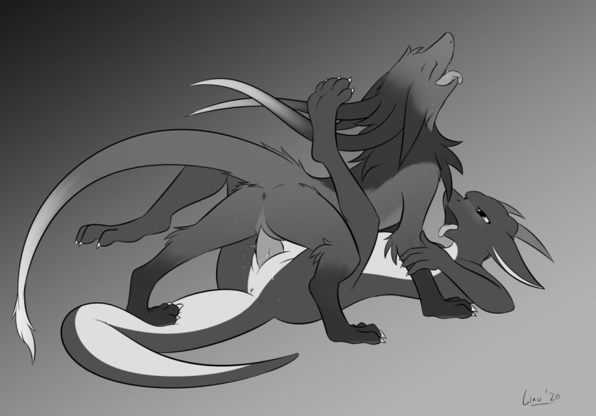 anthro anthro_on_feral anus bestiality black_and_white blush bodily_fluids claws dominant dominant_feral dragon duo eyes_closed feral feral_penetrated fur furred_dragon genitals giru giru_(artist) half-closed_eyes holding_leg horn kobold legs_up looking_at_another looking_at_partner looking_pleasured lying male male/male monochrome multicolored_body narrowed_eyes on_back penetration penile penile_penetration penis power_bottom quadruped raised_head saliva slit slit_penetration slit_play standing_on_tail sweat tongue tongue_out two_tone_body unknown_character