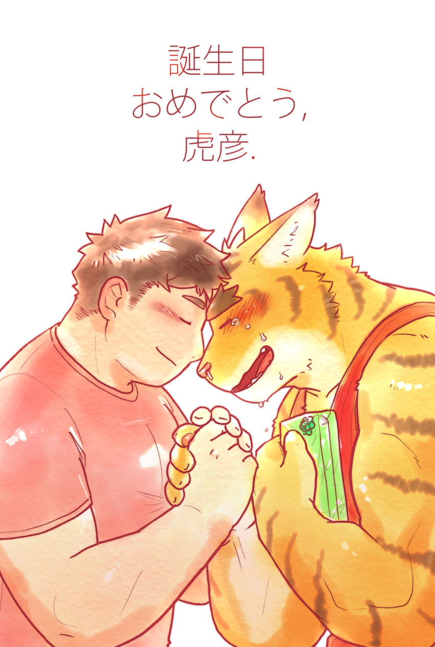 2boys animal_ears bara blush couple crying forehead-to-forehead from_side furry furry_male furry_with_non-furry heads_together highres holding_hands interspecies jeck_(2184521) male_focus morenatsu multiple_boys muscular muscular_male pink_shirt shirt short_hair sideburns tears thick_eyebrows tiger_boy tiger_ears torahiko_oshima translation_request yaoi yellow_fur