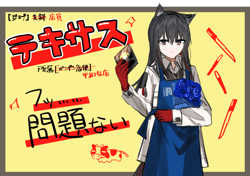 1girl animal_ear_fluff animal_ears apron arknights bangs black_hair blue_apron blue_flower bouquet cd_case chihuri closed_mouth collared_shirt ear_piercing eyebrows_visible_through_hair flower gloves grey_background grey_shirt hair_between_eyes hand_up highres holding jacket long_hair long_sleeves looking_at_viewer multicolored_hair open_clothes open_jacket piercing red_eyes red_gloves red_hair shirt solo sora_(arknights) streaked_hair sweater_vest tail texas_(arknights) translation_request two-tone_background white_jacket yellow_background