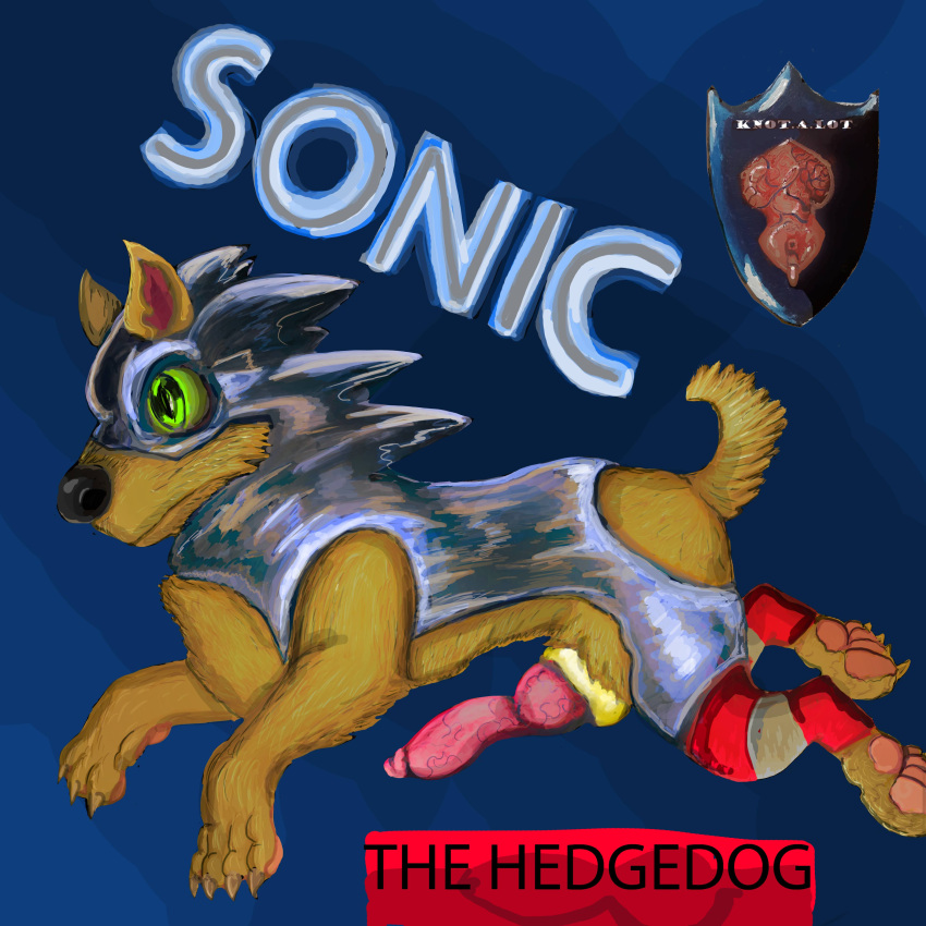absurd_res accessory after_transformation animal_genitalia animal_penis canine_penis clothing cock_ring fan_character genitals hi_res jewelry knotalot male penis penis_accessory penis_jewelry rubber rubber_clothing rubber_suit sega solo sonic_the_hedgehog sonic_the_hedgehog_(series)