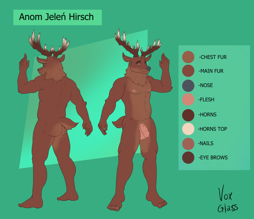 anom_hirsch anonymous_artist antlers brown_body brown_fur cervid cervine fur genitals hi_res horn male mammal model_sheet penis red_deer solo