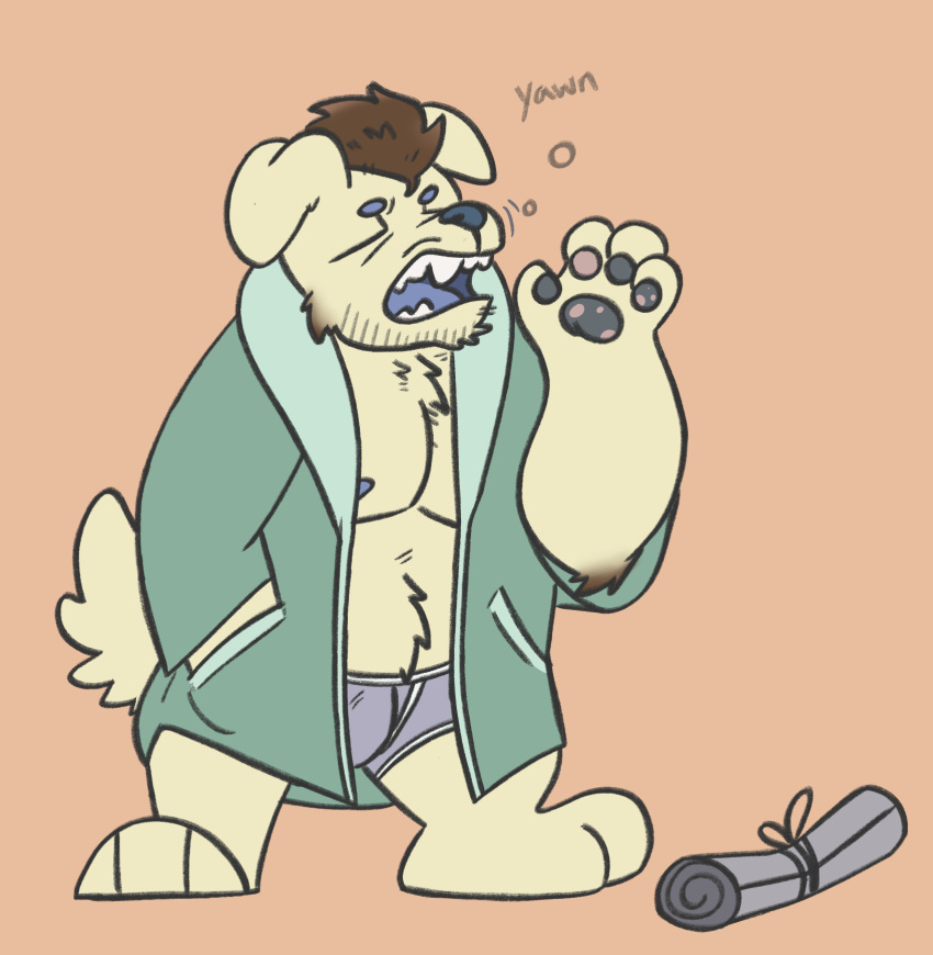 anthro bathrobe beard briefs bulge canid canine canis clothed clothing digital_media_(artwork) domestic_dog eyes_closed facial_hair fur hi_res male mammal newspaper nipples open_mouth pecs robe sailby simple_background solo standing stubble underwear yawn