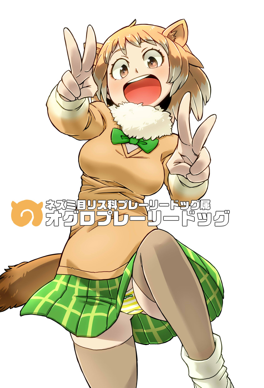 1girl absurdres animal_ears aono3 ass_visible_through_thighs beige_legwear black-tailed_prairie_dog_(kemono_friends) breasts brown_eyes brown_hair character_name double_v fur_trim green_neckwear green_skirt highres japari_symbol kemono_friends knee_up long_sleeves looking_at_viewer medium_breasts open_mouth outline panties pantyshot plaid plaid_skirt pleated_skirt skirt smile solo standing striped striped_panties tail underwear v white_hair white_legwear white_panties yellow_panties