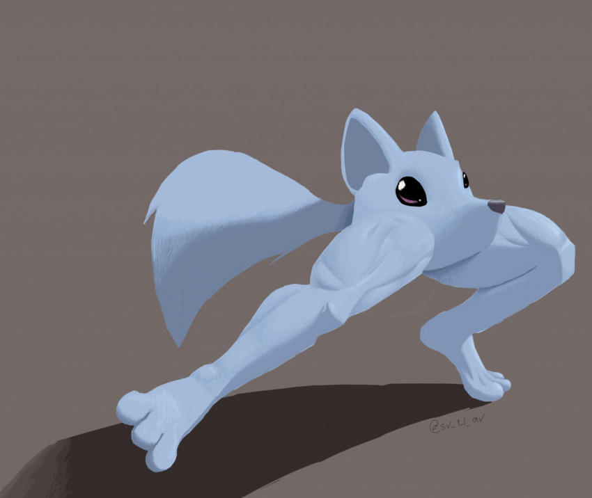 2020 3_toes ambiguous_gender anthro big_ears big_eyes black_eyes blue_body blue_fur body_horror canid canine cross-hatching feet fluffy fluffy_tail fox fur glistening glistening_eyes grey_background grey_nose hatching_(art) huge_tail iceball_(ribbontini) mammal muscular_legs shaded shadow signature simple_background solo svtlav toes