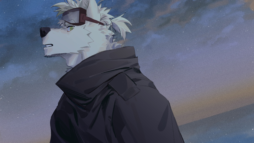 1boy animal_ears black_coat body_fur coat dog_boy dog_ears from_side furry furry_male goggles goggles_on_head highres looking_at_viewer male_focus original seato-hao short_hair snout solo tied_hair upper_body white_hair