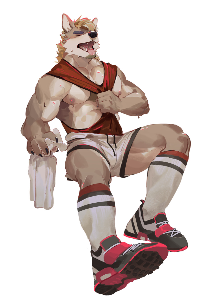 1boy abs animal_ears bara bare_pectorals blonde_hair body_fur bulge clothes_pull dog_boy dog_ears dog_tail full_body furry furry_male highres kneehighs male_focus muscular muscular_male nipples original pectorals pulled_by_self seato-hao shirt_pull shoes short_hair shorts sneakers snout socks solo sweat tail thick_eyebrows thick_thighs thighs towel white_shorts wrinkled_skin