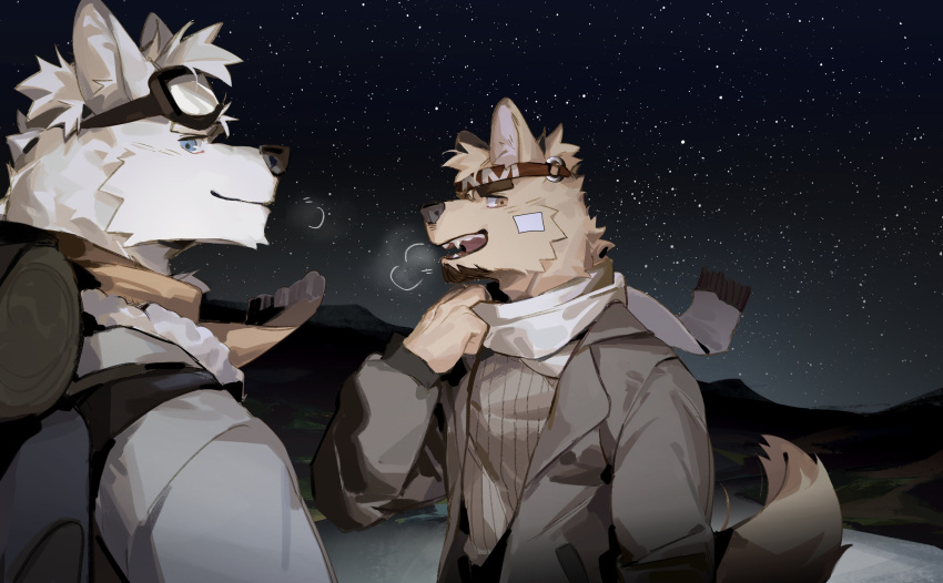 2boys animal_ears bandaid bandaid_on_cheek bara beige_fur blue_eyes body_fur breath camping dog_boy dog_ears dog_tail facial_hair furry furry_male goatee goggles goggles_on_head highres light_blush looking_at_viewer male_focus multiple_boys original scarf seato-hao short_hair snout striped tail thick_eyebrows white_fur winter_clothes