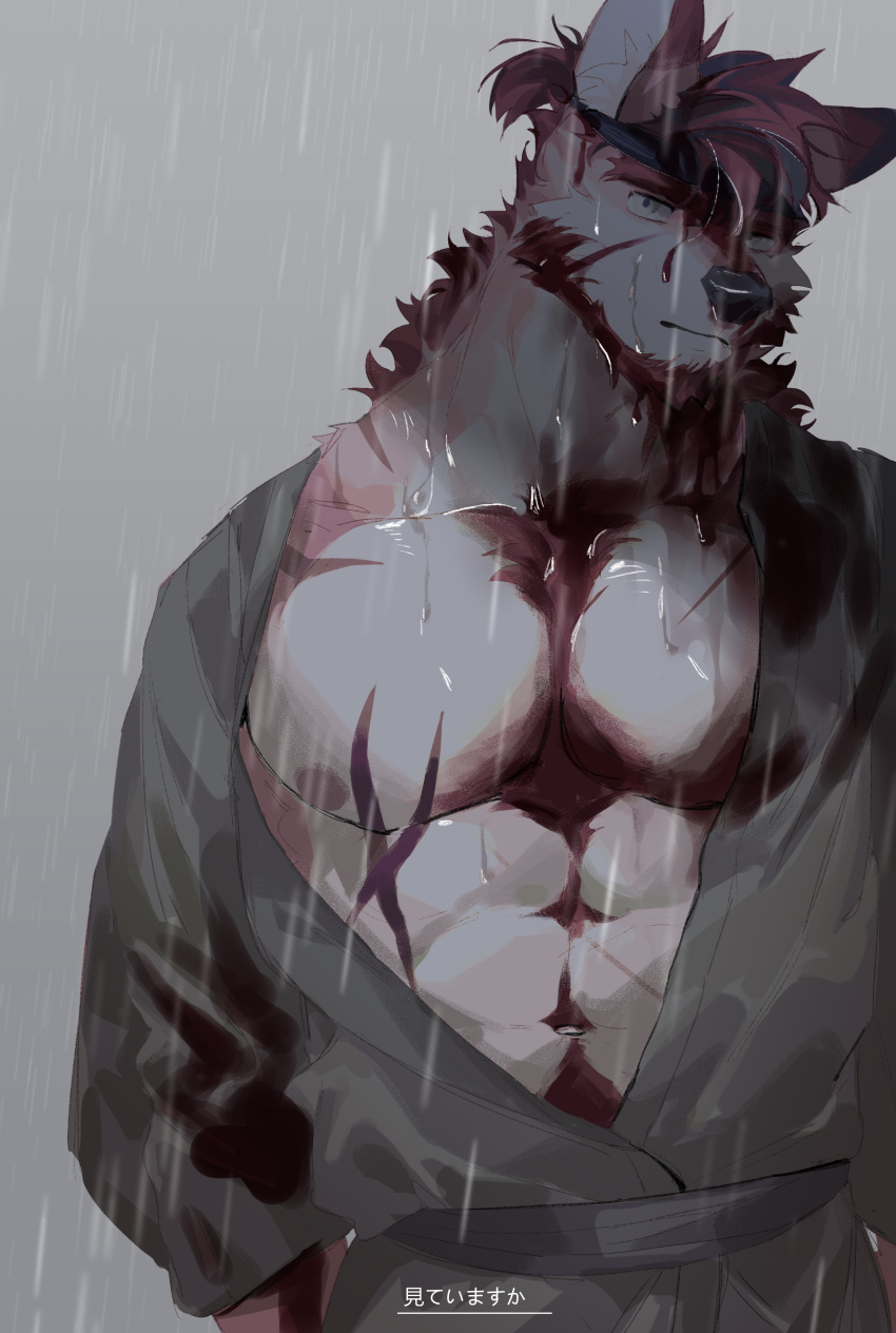 1boy abs absurdres animal_ears bara bare_pectorals beard body_fur chest_hair facial_hair furry furry_male headband highres large_pectorals male_focus muscular muscular_male nipples original pectorals rain sad seato-hao short_hair snout solo thick_eyebrows upper_body wet wet_clothes wolf_boy wolf_ears