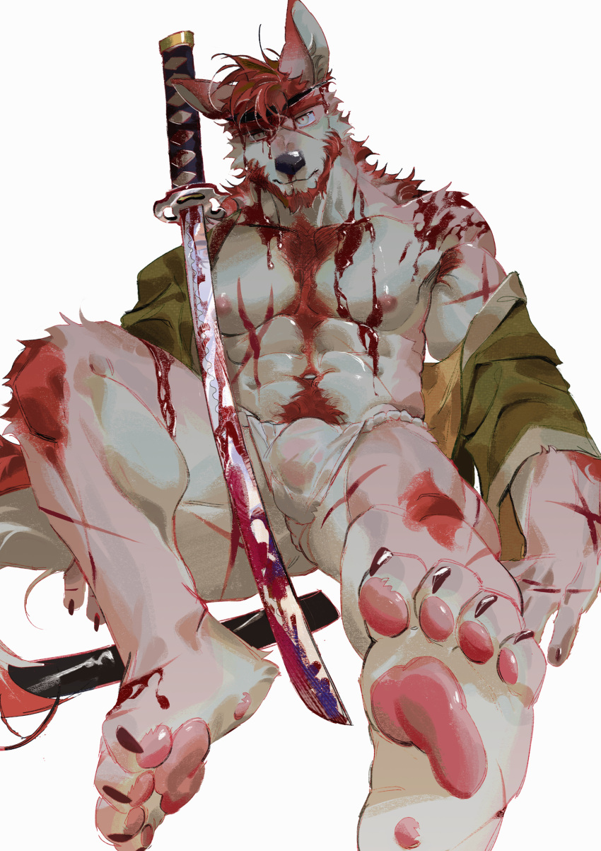 1boy abs absurdres animal_hands bara bare_pectorals blood blood_on_clothes blood_on_face blood_on_weapon body_fur bulge cuts feet fluffy foreshortening full_body furry furry_male highres injury japanese_clothes kimono large_pectorals looking_at_viewer male_focus male_underwear muscular muscular_male navel navel_hair nipples no_pants open_clothes open_kimono original pectorals seato-hao see-through short_hair sitting snout soles solo stomach tail thick_thighs thighs underwear weapon wet wet_clothes wet_male_underwear white_male_underwear wolf_boy wolf_tail