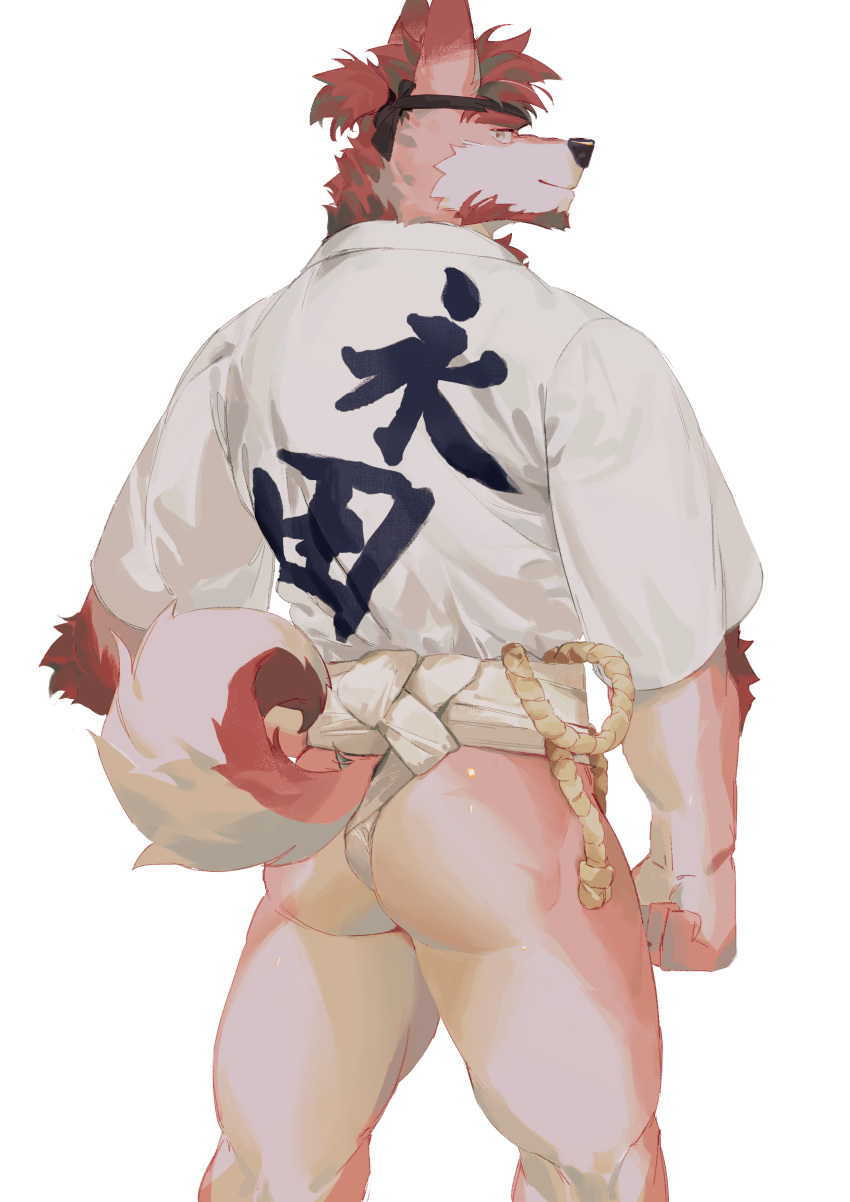 1boy absurdres animal_ears ass bara body_fur clothing_aside dog_boy dog_ears dog_tail facial_hair feet_out_of_frame from_behind fundoshi fundoshi_aside furry furry_male goatee happi highres japanese_clothes looking_at_viewer looking_back male_focus mature_male muscular muscular_male original pink_fur seato-hao short_hair snout solo tail thick_thighs thighs white_background