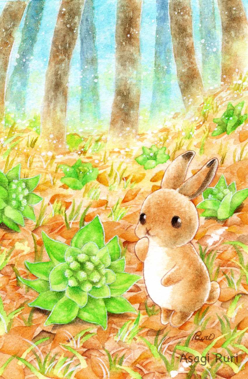 animal animal_focus bunny closed_mouth commentary_request dirt forest grass highres nature no_humans original painting_(medium) plant signature sinsousui standing traditional_media tree watercolor_(medium)