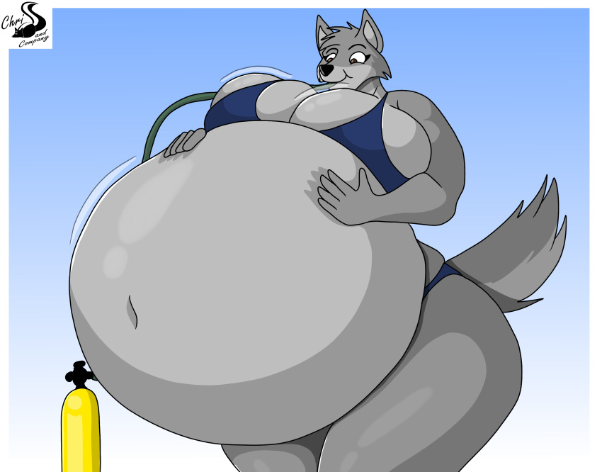 anthro breasts canid canine canis chrisandcompany clothing female helium_tank hi_res inflation mammal solo swimwear wolf