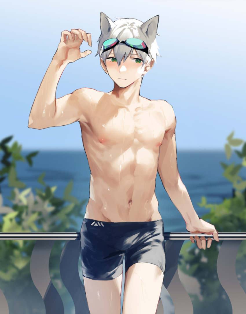 1boy against_railing animal_ears arm_up bangs blue_male_swimwear blurry blush cat_boy cat_ears cowboy_shot day depth_of_field expressionless goggles goggles_on_head green_eyes hair_between_eyes hand_on_railing highres ishida_(segu_ishida) looking_at_viewer looking_away male_focus male_swimwear navel ocean original outdoors pectorals railing short_hair standing sunlight swim_briefs wet white_hair