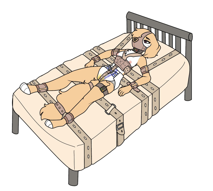 anthro bdsm bed belt blonde_hair bodily_fluids bondage bound breasts collar cuff_(restraint) diaper female furniture genital_fluids hair hi_res katanagirl medical_restraints muzzle_(object) pink_eyes restraints shock_collar solo straps urine wet_diaper wetting yellow_tail zoey_(potato565)