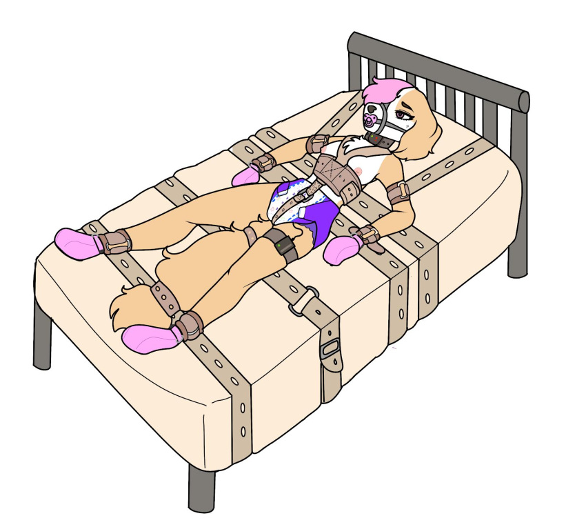 anthro bdsm bed bird_dog bondage booties bound breasts canid canine canis clothing collar cuff_(restraint) diaper domestic_dog dyed-hair female furniture gag golden_retriever handwear hi_res hunting_dog katanagirl mammal medical_restraints mittens pacifier pacifier_gag restraints retriever shock_collar solo zoey_(potato565)