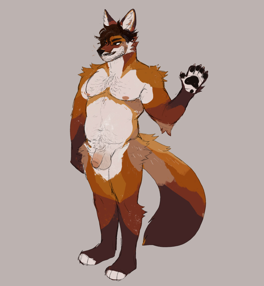 anatomically_correct anthro armpit_hair ball_tuft balls beard belly belly_hair belly_tuft big_tail black_eyebrows black_hair black_nose black_paws body_hair canid canine chest_hair chest_tuft desertmotels detailed digital_drawing_(artwork) digital_media_(artwork) eyebrows facial_hair flaccid fluffy fox front_view fur genitals hair happy_trail hi_res humanoid_genitalia humanoid_penis male mammal mature_male mustache paws penis pubes realistic red_fox short_hair simple_background slightly_chubby small_penis smile solo tuft
