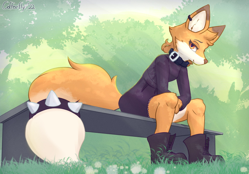 bench boots bush_(disambiguation) canid canine clothing coffeefly collar footwear fox grass hi_res looking_at_viewer mammal orange_eyes piercing plant sitting