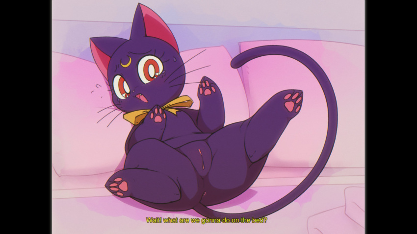absurd_res anus bedding bedroom blush bodily_fluids butt clitoris cute_fangs dialogue domestic_cat fake_screenshot fangs felid feline felis female feral front_view genital_fluids genitals hi_res imminent_sex kekitopu luna_(sailor_moon) lying mammal meme off_screen_character on_back open_mouth pawpads pomf presenting presenting_hindquarters presenting_pussy pussy pussy_juice sailor_moon_(series) solo spread_legs spreading subtitled sweat talking_to_another thick_thighs whiskers