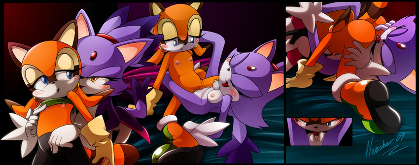 blaze_the_cat blue_eyes breasts cat cunnilingus feline furry lesbian marine_the_raccoon nancher nipples oral orange purple pussy pussy_juice raccoon shirt_lift sonic_the_hedgehog