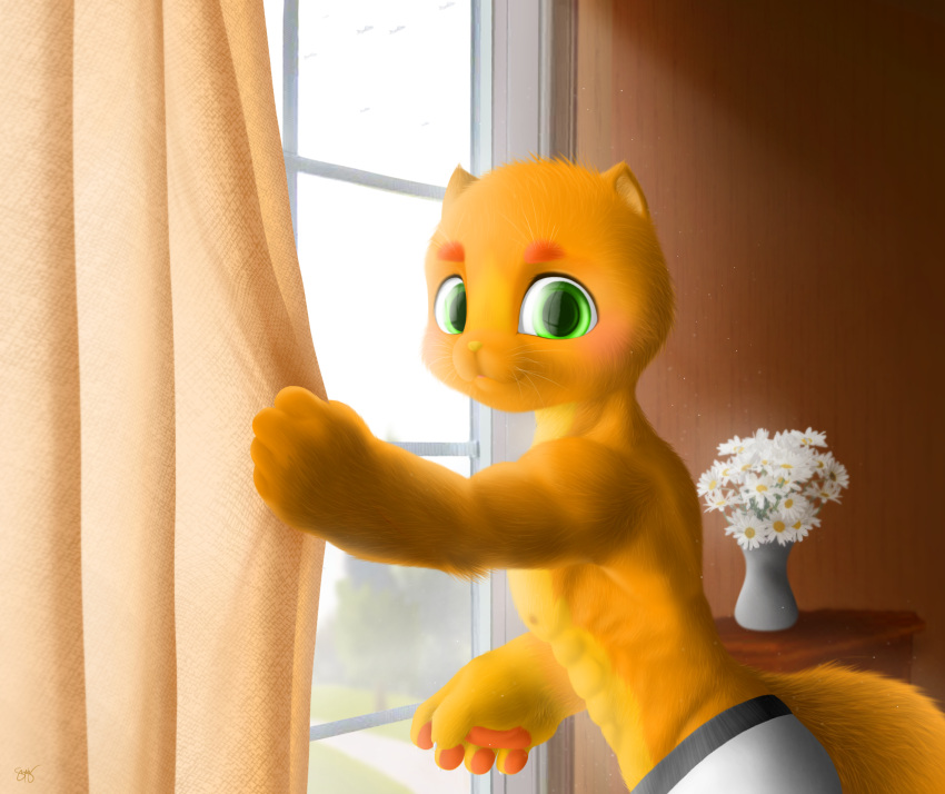 abs anthro clothing curtains domestic_cat dust eyebrows fairycatcreation felid feline felis flower fur green_eyes hi_res humanoid light lineless looking_at_viewer male mammal muscular muscular_male orange_body orange_fur pawpads pio_fairy_cat plant red_cheeks red_eyebrows red_pawpads side_view simple_background solo underwear whiskers window yellow_body