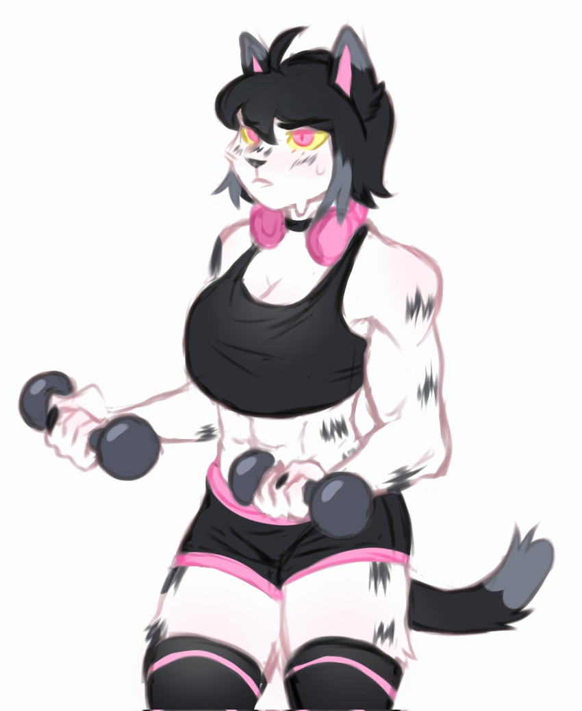 2022 abs anthro athletic athletic_anthro athletic_female biped black_claws black_clothing black_legwear black_stockings black_tail bodily_fluids bottomwear claws clothing digital_media_(artwork) domestic_cat dumbbell felid feline felis female footwear front_view grey_highlights gym_bottomwear gym_clothing gym_shorts headphones hi_res highlights_(coloring) humanoid_fingers leg_tuft legwear lifting mammal multicolored_bottomwear multicolored_clothing multicolored_footwear multicolored_shorts multicolored_socks narrowed_eyes pink_eyes pink_headphones pink_inner_ear portrait presuk salt_(puppychan48) shorts simple_background socks solo standing stockings sweat sweaty_face three-quarter_portrait three-quarter_view training tuft two_tone_bottomwear two_tone_clothing two_tone_footwear two_tone_shorts two_tone_socks two_tone_tail weights white_background yellow_sclera