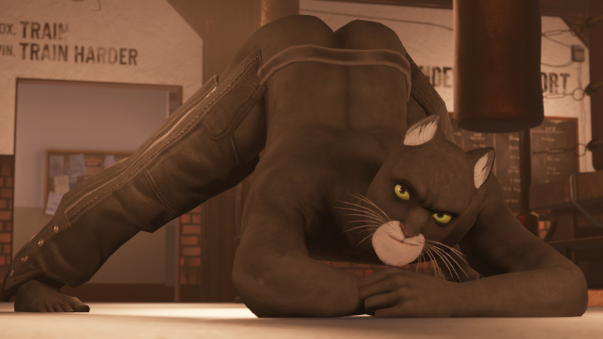 16:9 3d_(artwork) absurd_res anthro black_body black_fur blacksad blacksad:_under_the_skin blender_(software) bulletin_board butt chalkboard chaps clothed clothed/nude clothing digital_media_(artwork) domestic_cat feet felid feline felis fighting_ring fingers fur green_eyes gym hi_res hopwiresfm_(artist) jack-o'_pose john_blacksad leather_chaps male mammal nude pose punching_bag seductive smile smirk solo toes video_games whiskers white_muzzle widescreen