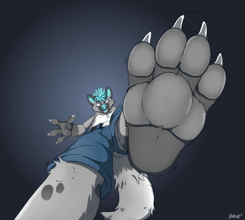 2021 4_fingers 4_toes anthro barefoot bottomwear canid canine claws clothing feet fingers foot_focus grey_pawpads hair looking_at_viewer low-angle_view macro male mammal multicolored_body open_mouth pawpads shorts solo spots teal_hair teal_nose toe_claws toes two_tone_tail uroko worm's-eye_view