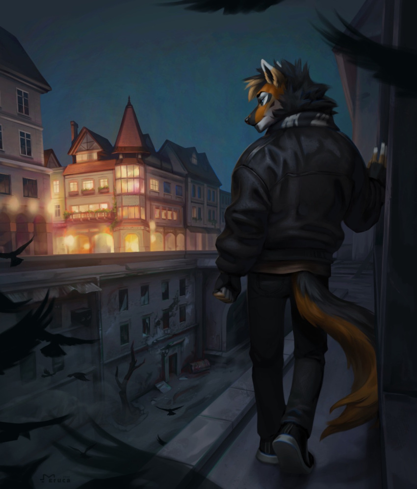 2022 anthro canid canine clothed clothing detailed_background digital_media_(artwork) eruca eyebrows eyelashes fox hi_res male mammal night outside solo standing