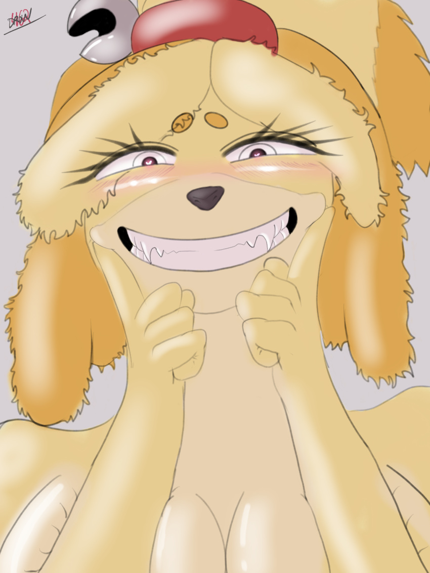 &lt;3 &lt;3_eyes animal_crossing anthro bell bell_collar blush blush_lines breast_squeeze breasts canid canine canis clothed clothing collar domestic_dog eyelashes fangs female fluffy fur hi_res isabelle_(animal_crossing) looking_at_viewer mammal multicolored_body multicolored_fur nintendo sharp_teeth shih_tzu simple_background smile smiling_at_viewer solo teeth topless toy_dog video_games word360 yellow_body yellow_fur