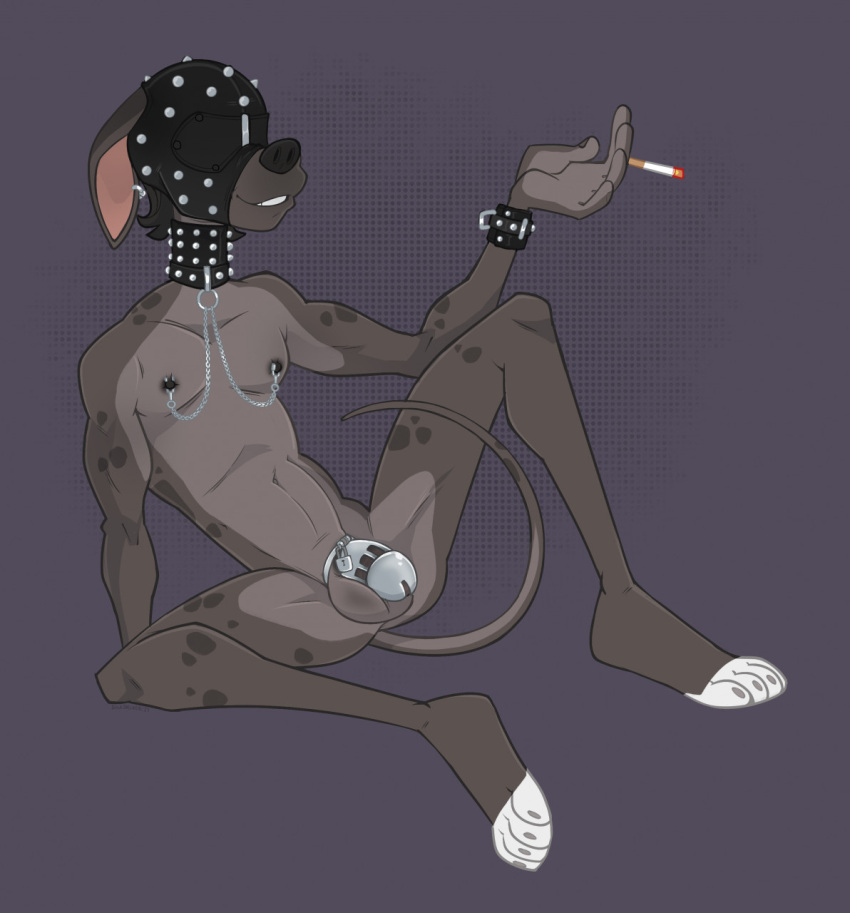 anthro cadaverrdog canid canine canis chastity_cage chastity_device cigarette collar domestic_dog dutch_(cadaverrdog) ear_piercing ear_ring gimp_mask hi_res leaning leaning_back male mammal mask nipple_clamp nude piercing simple_background smoking smoking_tobacco solo studded_bracelet studded_collar