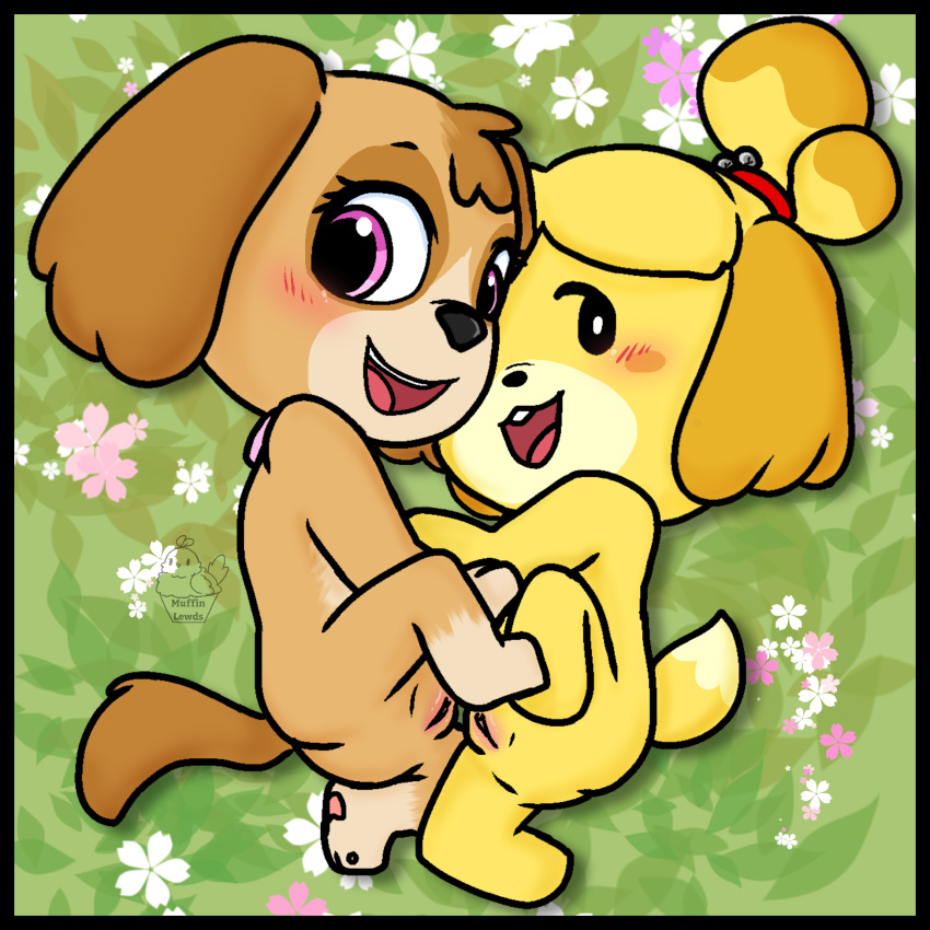 1:1 animal_crossing anthro blush brown_body brown_fur butt canid canine canis digital_drawing_(artwork) digital_media_(artwork) domestic_dog duo female female/female fur genitals hi_res imminent_tribadism isabelle_(animal_crossing) laying_together looking_at_viewer mammal muffinlewds nintendo nude open_mouth paw_patrol pink_eyes pussy sex shih_tzu skye_(paw_patrol) smile spread_legs spreading toy_dog tribadism vaginal video_games yellow_body yellow_fur