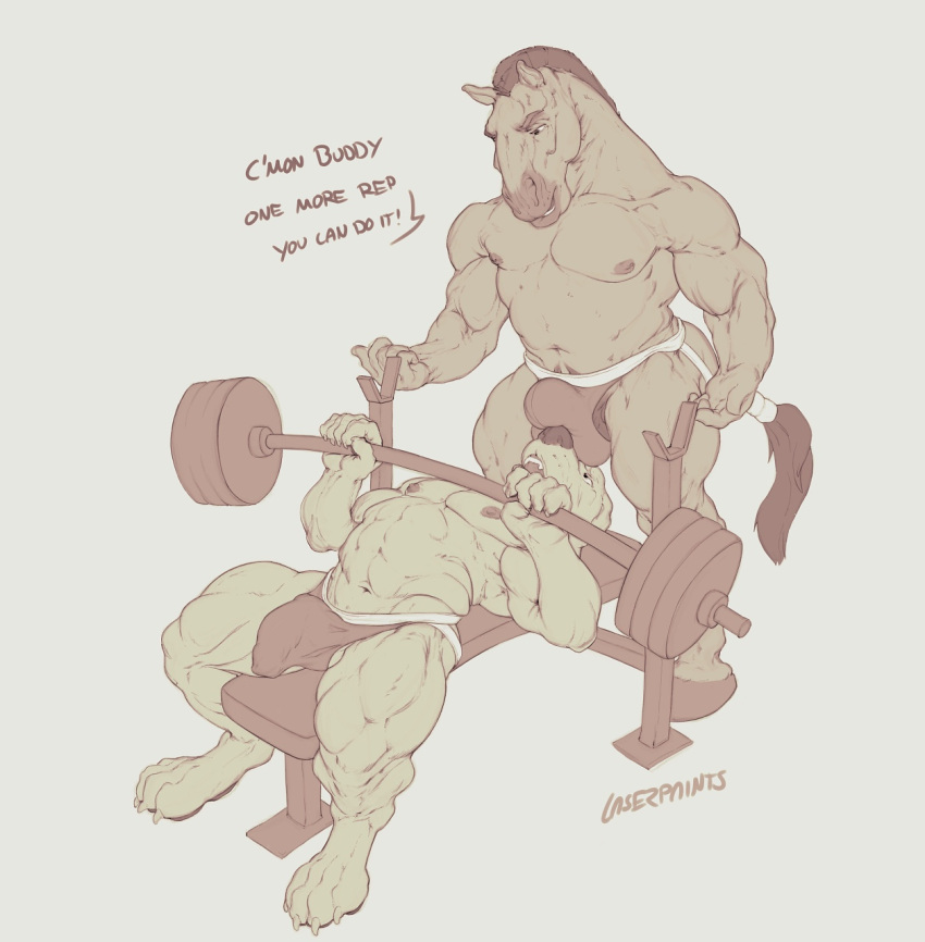 anthro big_muscles bulge bulge_in_face canid canine canis clothed clothing domestic_dog duo english_text equid equine erection erection_under_clothing exercise hi_res hooves horse jockstrap laser_(artist) male mammal muscular muscular_male nipples text underwear weight_bench weightlifting workout