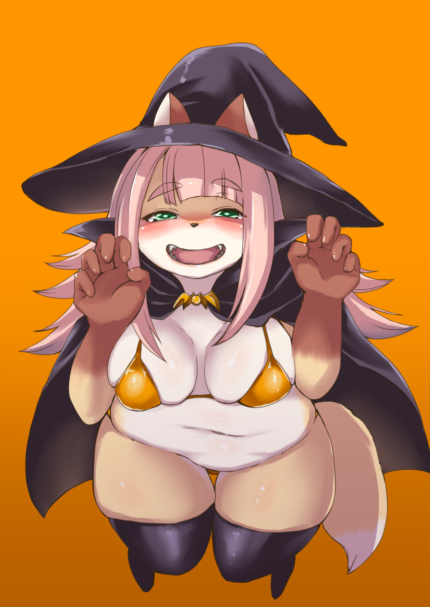 2018 absurd_res anthro bikini black_cape black_clothing black_headwear black_legwear black_thigh_highs blush canid canine claw_pose clothing dipstick_tail eyebrow_through_hair eyebrows fangs female fox gloves_(marking) green_eyes hair half-closed_eyes halloween hat headgear headwear hi_res holidays leaning leaning_forward legwear long_hair looking_at_viewer mammal markings narrowed_eyes open_mouth open_smile orange_background orange_bikini orange_clothing orange_swimwear ou_sakuraba_(shinobe) pink_hair red_fox shinobe simple_background slightly_chubby smile solo swimwear tail_markings thigh_highs translucent translucent_hair witch_hat