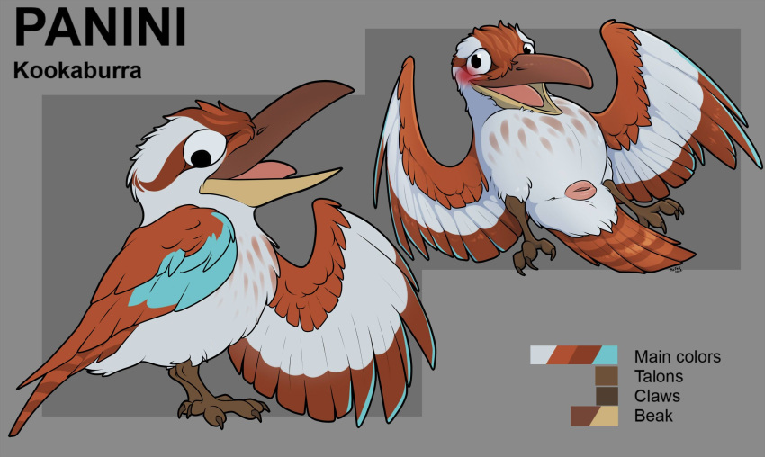 animal_genitalia avian bird blush cloaca coraciiform genitals hi_res kingfisher kookaburra laughing_kookaburra male model_sheet presenting