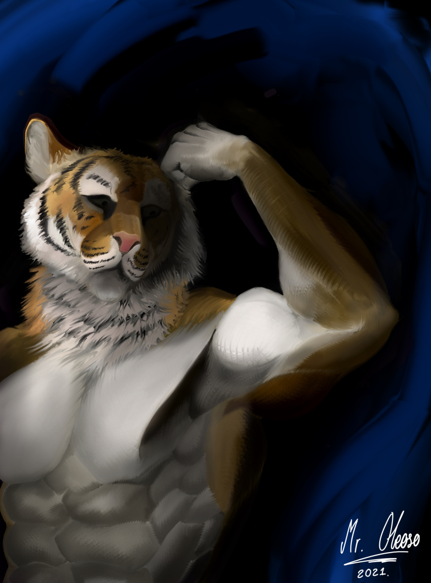 abs absurd_res felid feline hi_res mammal mroleoso muscular pantherine pecs shirtless solo standing study tiger
