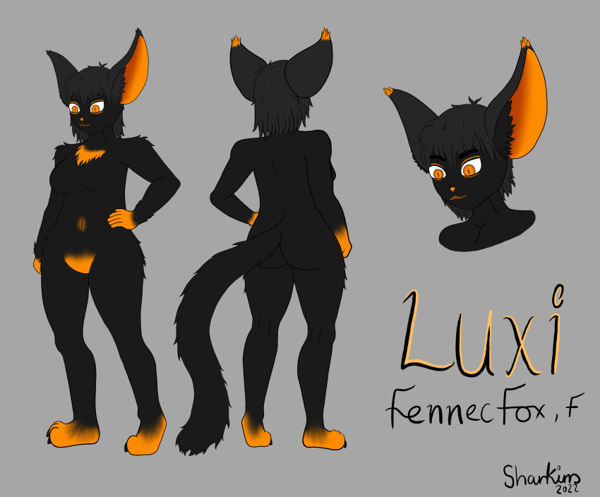 absurd_res anthro black_body breasts canid canine chest_tuft digital_media_(artwork) female fennec fox fur hair hi_res luxi_(character) mammal model_sheet orange_body orange_eyes orange_feet orange_fur orange_hands sharkins simple_background solo text tuft