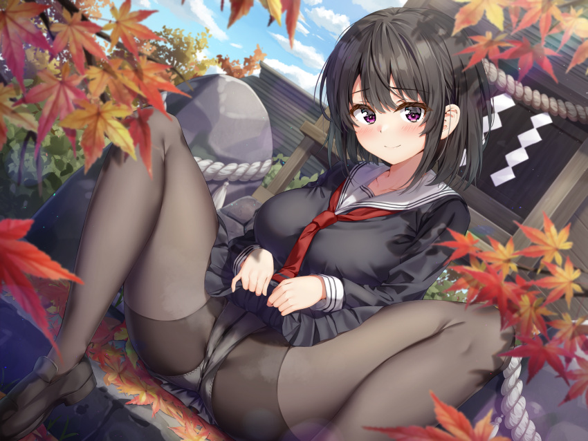 1girl autumn_leaves bangs black_footwear black_hair black_legwear black_shirt black_skirt closed_mouth clothes_lift commentary_request day eyebrows_visible_through_hair hair_between_eyes highres knees_up kuria_(clear_trip_second) leaf lips loafers long_sleeves looking_at_viewer maple_leaf necktie original outdoors panties panties_under_pantyhose pantyhose pleated_skirt purple_eyes red_necktie rope sailor_collar school_uniform serafuku shimenawa shirt shoes skirt skirt_lift smile solo spread_legs steam underwear white_sailor_collar
