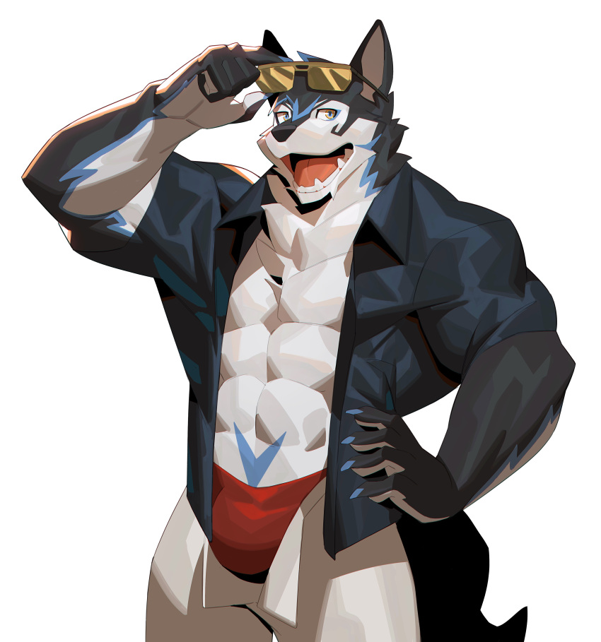 2022 absurd_res anthro archermagnum canid canine canis clothing discordnight_(artist) eyewear eyewear_on_head fur hair hand_on_hip hi_res jacket male mammal multicolored_hair muscular muscular_anthro muscular_male red_clothing simple_background solo speedo sunglasses sunglasses_on_head swimwear thunderrangers topwear white_background wolf