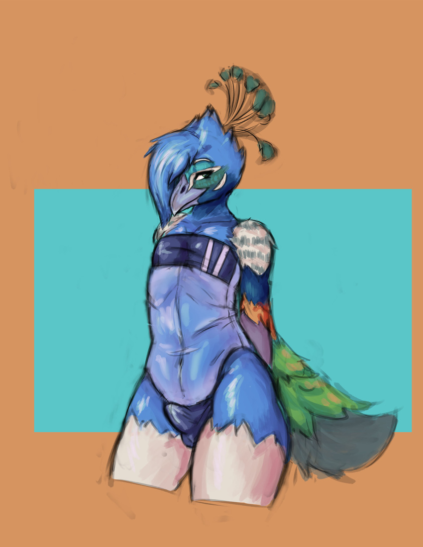 absurd_res anthro arino avian beak bird blue_body bulge clothing digital_media_(artwork) feathers galliform genitals gris_swimsuit hair head_crest hi_res male meme meme_clothing one-piece_swimsuit orange_body orange_feathers peafowl penis phasianid simple_background sketch small_penis smile solo swimwear tomi_(arino) translucent translucent_clothing translucent_swimwear