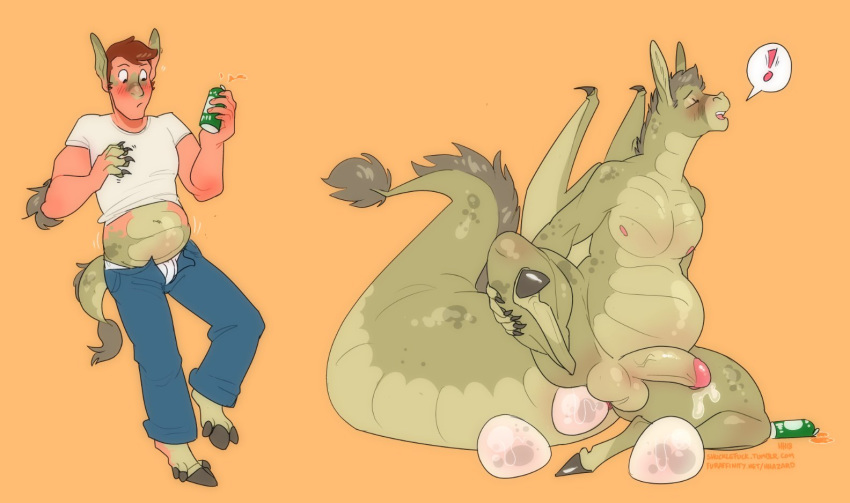 beverage donkey dragon egg equine hhazard hooves human_to_anthro hybrid male male_pregnancy mammal oviposition post_transformation pregnant scalie solo transformation western_dragon