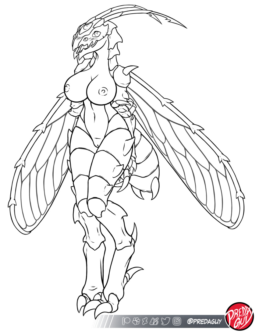 2021 2_toes 5_eyes alternate_species antennae_(anatomy) anthro areola arm_spikes arthropod artist_logo ashley_graham_(resident_evil) barely_visible_genitalia barely_visible_pussy big_breasts biped blush breasts capcom claws digital_drawing_(artwork) digital_media_(artwork) digitigrade exoskeleton feet female finger_claws furrification genitals greyscale hands_behind_back hi_res huge_breasts knock-kneed line_art logo looking_at_viewer membrane_(anatomy) membranous_wings monochrome multi_eye navel nipples non-mammal_breasts non-mammal_navel non-mammal_nipples novistador nude open_mouth open_smile predaguy pussy resident_evil shoulder_spikes simple_background smile smiling_at_viewer snout solo spikes spikes_(anatomy) toe_claws toes video_games white_background wings