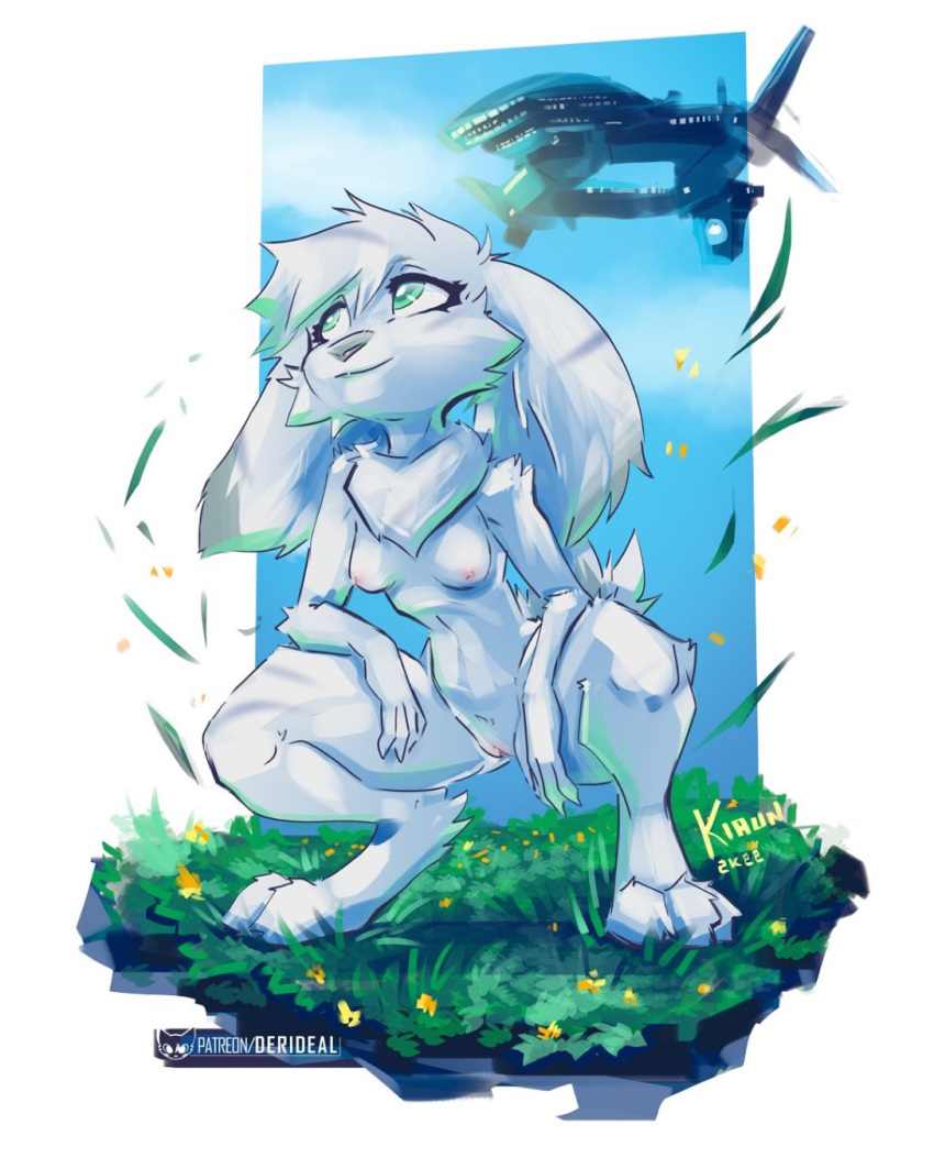 anthro breasts crouching female fur genitals grass grass_field head_tuft hi_res kiaun lagomorph leporid mammal neck_tuft nova_(xen) nude plant pussy rabbit solo spacecraft text tuft vehicle white_body white_fur