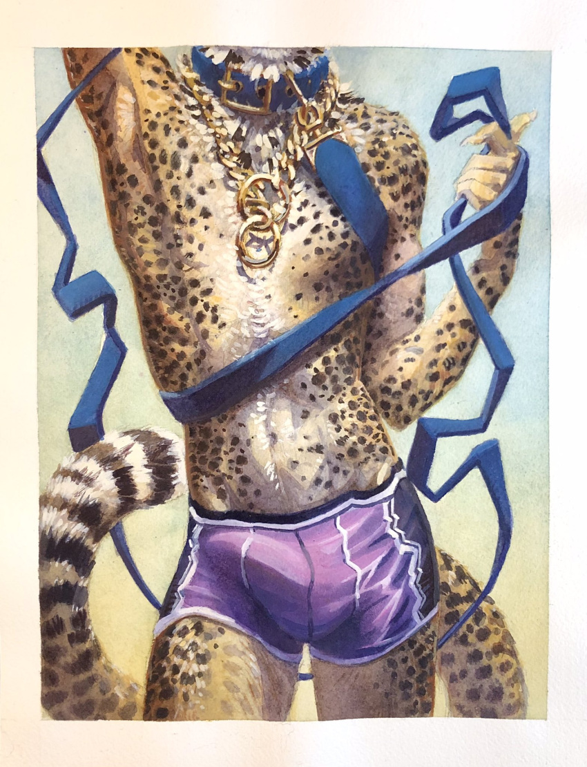 3:4 anthro bottomwear bulge cheetah clothed clothing collar felid feline fur genital_outline gym_bottomwear gym_clothing gym_shorts hi_res leash luikatje male mammal painting_(artwork) penis_outline shorts solo topless traditional_media_(artwork) watercolor_(artwork)