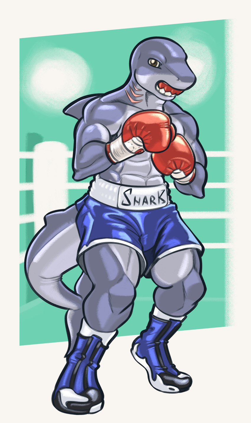 abs absurd_res anthro boots boxing boxing_gloves boxing_shorts brown_eyes clothing dcheese dorsal_fin fighting_ring fin fish footwear gills grey_body grey_skin handwear hi_res male marine mouthguard multicolored_body muscular muscular_male shark solo sport tail_fin two_tone_body