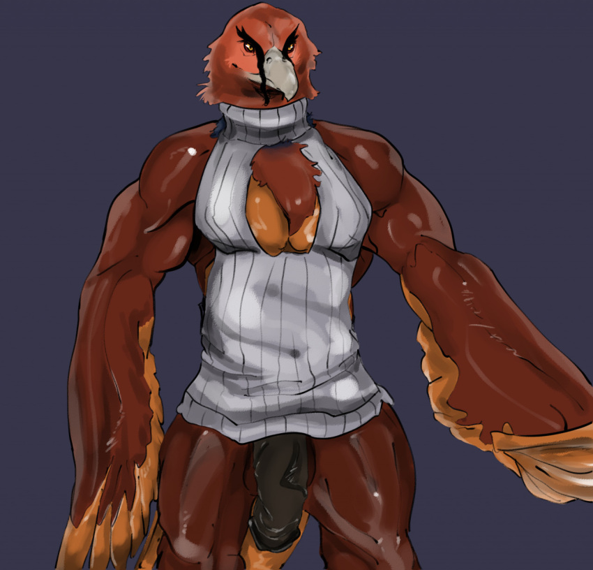 accipitrid accipitriform anthro avian beak bearded_vulture bird bottomless clothed clothing epicbassface genitals gosskett hi_res male meme meme_clothing muscular muscular_male old_world_vulture pecs penis simple_background solo solo_focus sweater sweater_only tagme topwear topwear_only virgin_killer_sweater vulture winged_arms wings