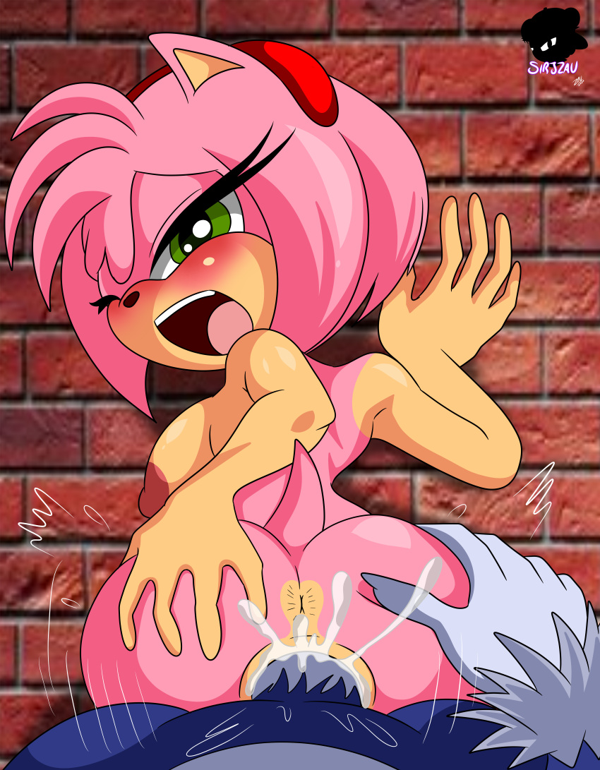 absurd_res accessory amy_rose anthro anus big_butt big_penis bodily_fluids butt butt_grab cum cum_in_pussy cum_inside duo ejaculation eulipotyphlan female first_person_view genital_fluids genitals green_eyes hair hair_accessory hand_on_butt hedgehog hi_res humanoid looking_away looking_pleasured male male/female mammal one_eye_closed open_mouth penetration penis pink_body pink_hair pussy sega sirjzau sonic_the_hedgehog sonic_the_hedgehog_(series) sonic_the_werehog sonic_unleashed spread_butt spreading tongue tongue_out vaginal vaginal_penetration wall_(disambiguation) were wereeulipotyphlan werehog